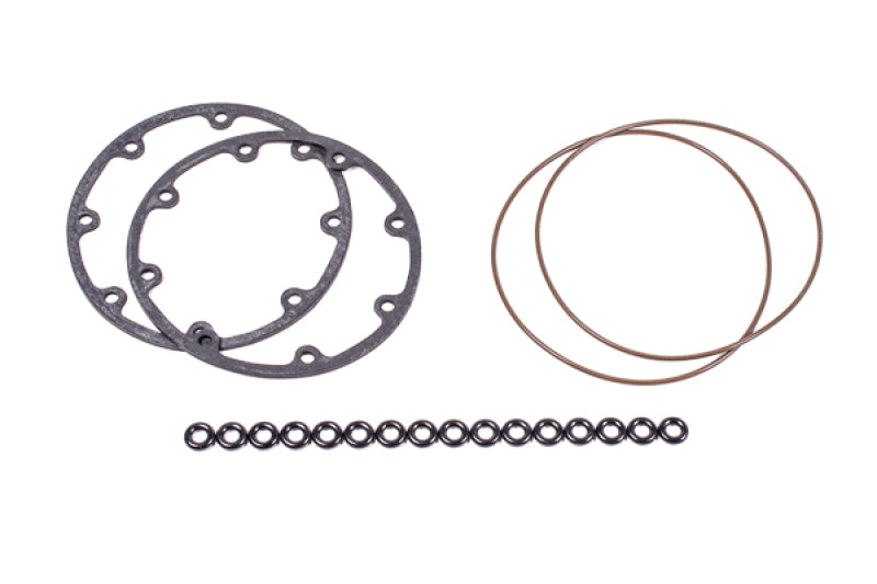 Radium Engineering Fuel Surge Tank O-Ring Service Kit