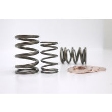 Kelford Cams | HONDA B18/B20B DUAL VALVE SPRING SET